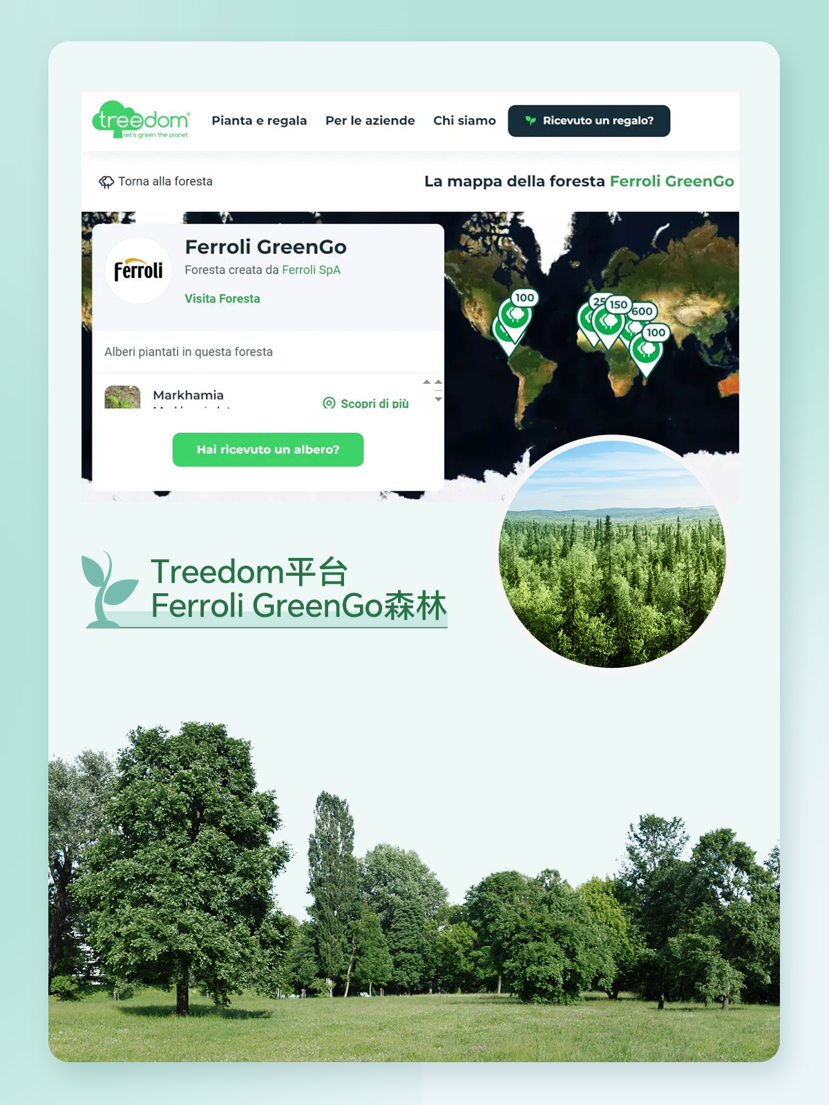 新利luck18(中国)体育·官方网站